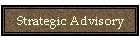 Strategic Advisory