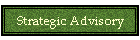 Strategic Advisory